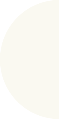 shape 33