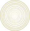 shape 34